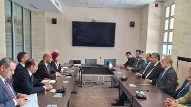 مباحثات مصرية عمانية لتطوير