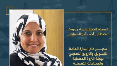 وزير البترول يكلف مرفت أبوالمعاطي