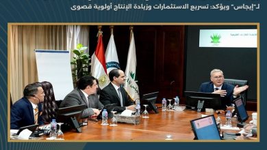وزير البترول يؤكد دعم إيجاس
