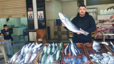 أسعار الأسماك اليوم الأحد