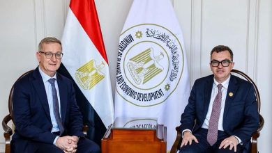 مصر وأيرلندا تبحثان توسيع الشراكة