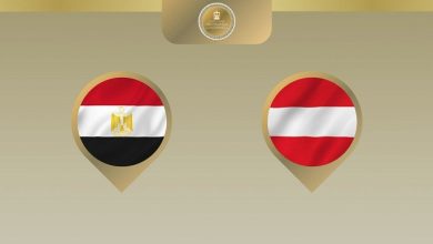 مصر والنمسا تبحثان آفاق