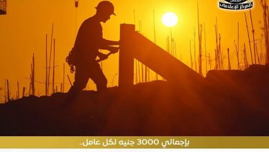 737.7 مليون جنيه قيمة الدفعتين