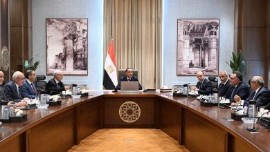 رئيس الوزراء يستعرض إجراءات