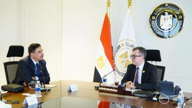 مباحثات مصرية إماراتية لتعزيز