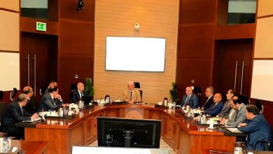 الحكومة تبحث تطوير شركات