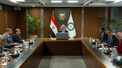 Egypt’s Gold Attracts Investors through the Open Blocks System