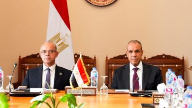 وزيرا الخارجية والاستثمار يبحثان