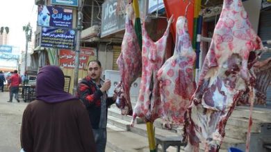 أسعار اللحوم اليوم الإثنين