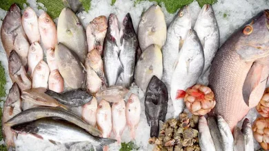 أسعار الأسماك اليوم الأربعاء