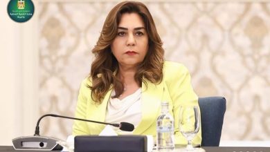 مصر تدعو لإصلاح التمويل