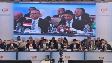 مصر تدعم تعزيز الإنتاج المشترك