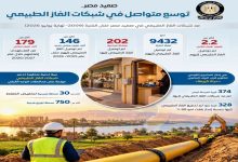 2.2 مليون عميل منزلي بالوجه القبلي