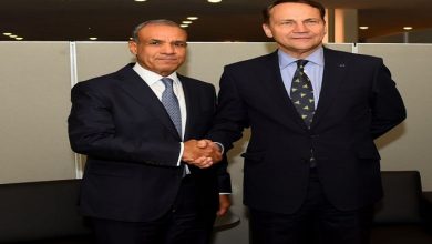 وزير الخارجية يبحث مع نظيره