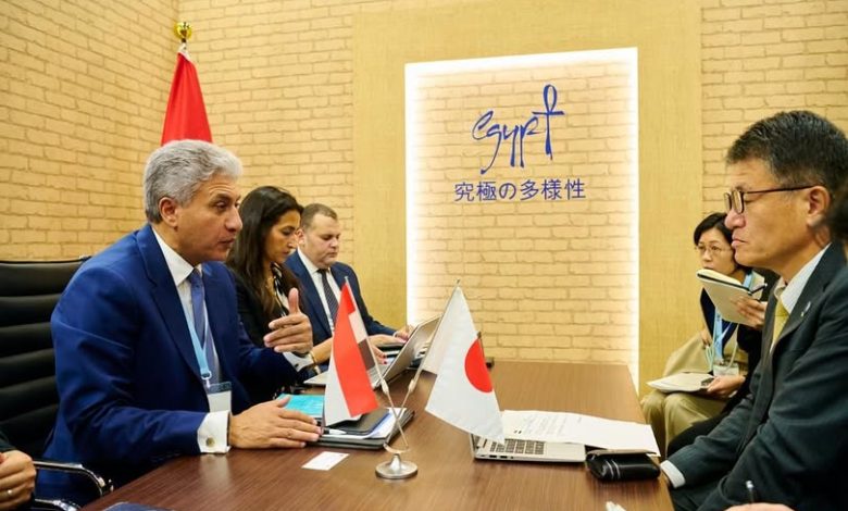 مباحثات مصرية يابانية مرتقبة