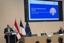 شراكة استراتيجية بين مصر وفرنسا