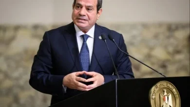 السيسي يلتقي الرئيس التنفيذي
