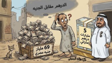 كاريكاتير هالة الدسوقي الجنيه مقابل الدرهم الاماراتي