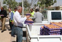 وزارة الزراعة تُطلق قوافل منافذ متنقلة لبيع بيض المائدة بتخفيضات 25%