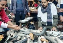 أسعار الأسماك اليوم الأحد