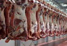 أسعار اللحوم اليوم الثلاثاء