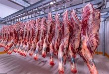 أسعار اللحوم اليوم السبت