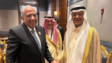 تدشين الربط الكهربائي بين مصر والسعودية بقدرة 3000 ميجاوات